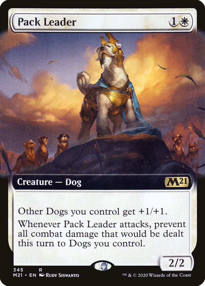 how do i make my dog a strong pack leader